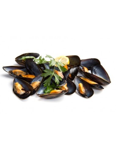 Moule de Hollande lot 4kg