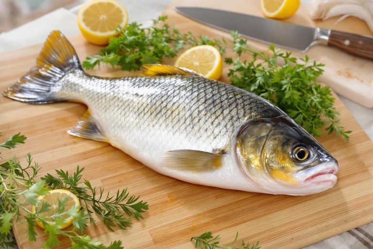 Prix du filet de carpe : tout ce qu'il faut savoir.jpg